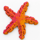 Articulated Fidget Starfish | Flexi Sensory Toy UK - CraftyLabz