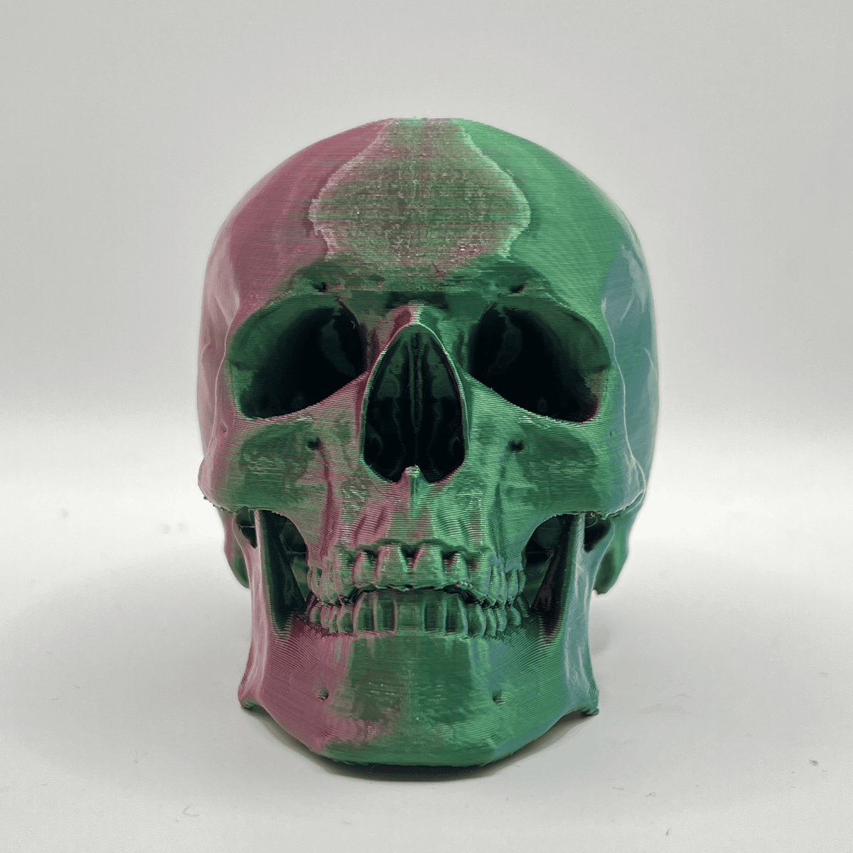 Replica Human Skull Ornament - CraftyLabz