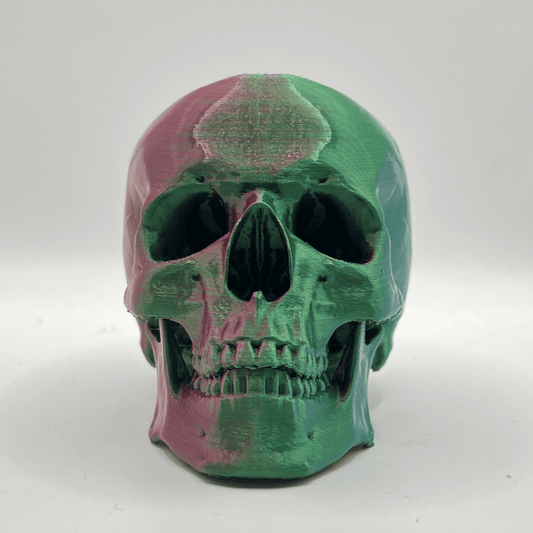 Replica Human Skull Ornament