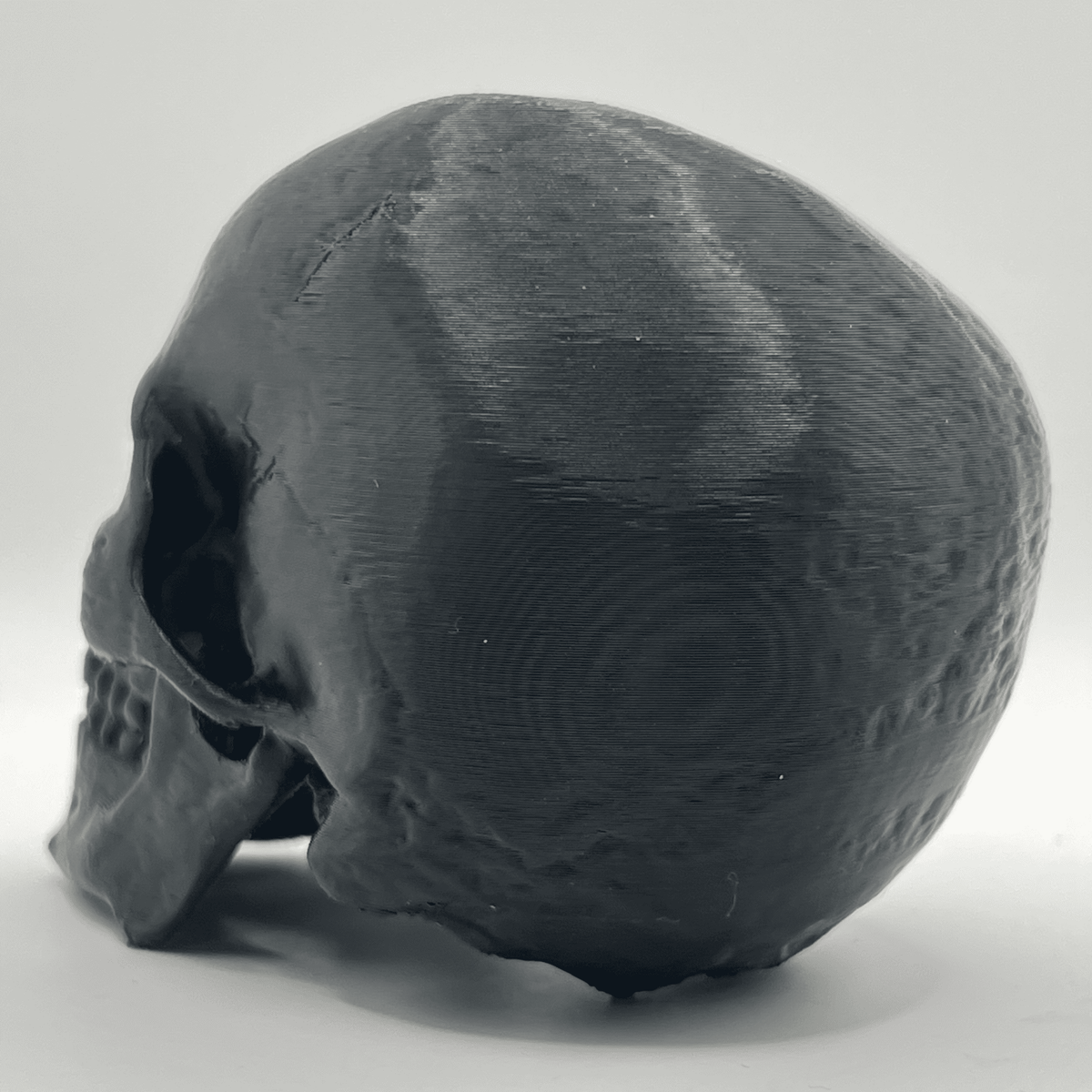 Replica Human Skull Ornament - CraftyLabz