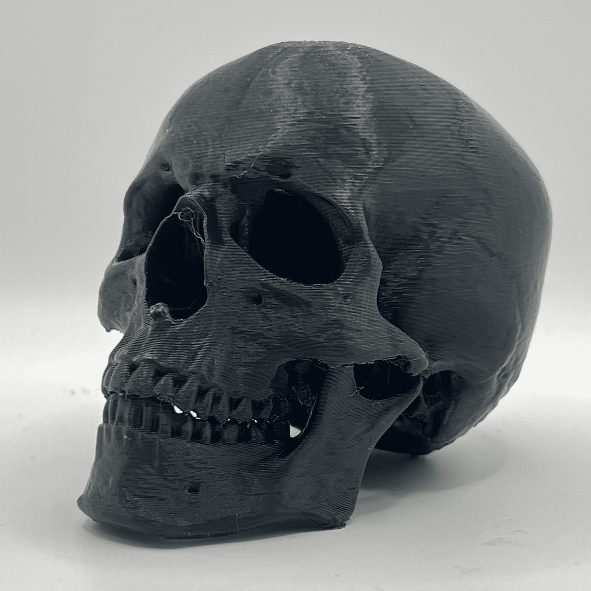 Replica Human Skull Ornament - CraftyLabz