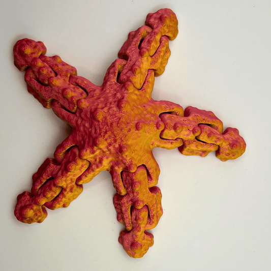 Starfish Fidget Toy | Flexi Sensory Sea Toy UK